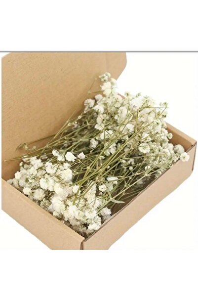 Masal Tasarım Kırık beyaz cipso , 50 dal mini süslemeler için cipso,magnet sü...