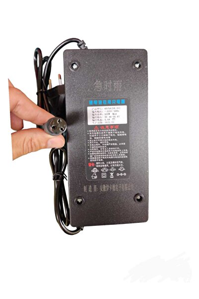 OEM Fast charger for electric scooters with li-ion battery 52v 58.8 5A