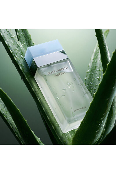 Dolce&Gabbana Dolce & Gabbana Light Blue Eau De Toilette 25 ml (γυναικεία)