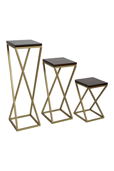fromro MELISA Decorative Plant Stands Set with Matte Gold Metal Frame