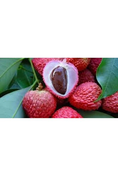 Hamile Marketim LİÇİ (kral meyvesi-aşk meyvesi)100gr