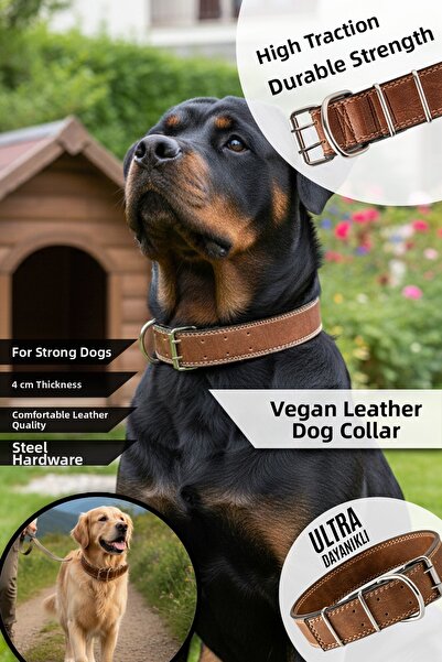 pasiole Dog Collar 4 cm Wide – with Steel Device, for Large Breeds