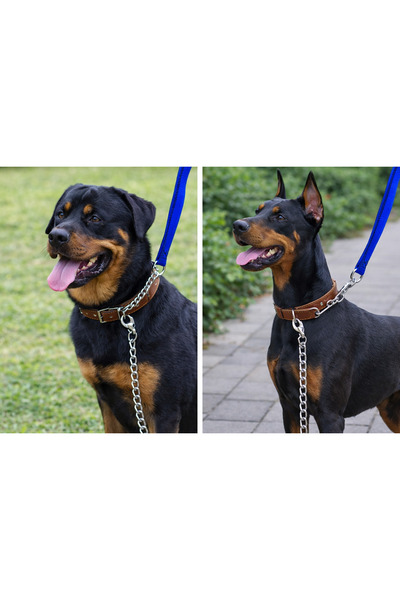 Zampa Köpek Gezdirme Zinciri 3,5 mm x 120 cm