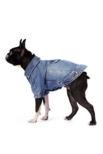 fouramour سترة كلب من الدنيم باللون الثلجي الداكن 'روديو'