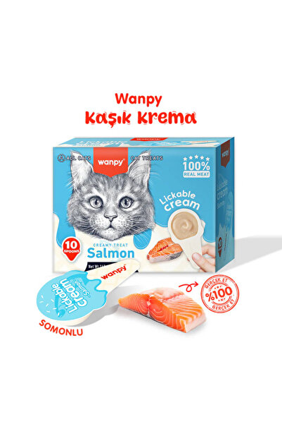 Wanpy Somonlu Kaşıklı Sıvı Kedi Ödül Maması 10x16 Gr