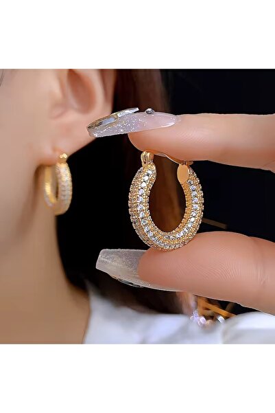 Siya Silver Özel Seri Zirkon Taşlı Çelik Halka Küpe - Hediye Kutulu