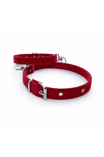 shop طوق كلب كبير الحجم