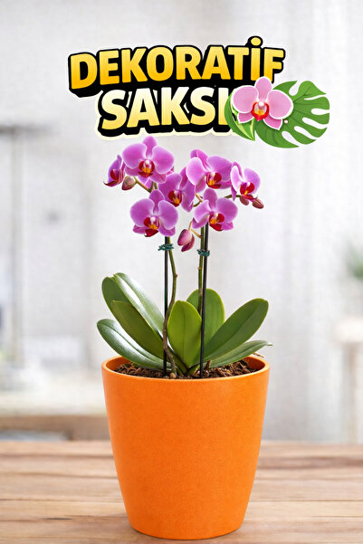 Plant Home Power Mix Orkide Saksısı Turuncu Dekoratif Dış Saksı 1 Adet- 12 Po...