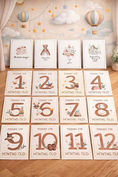 Mapel Bebek Anı Kartı Hamile Anı Kartları Anı Kartı Modelleri Bebek Aylı Kons...