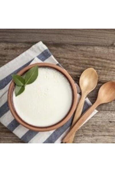 olba Silifke Yoğurdu Çömlekte 1 kg
