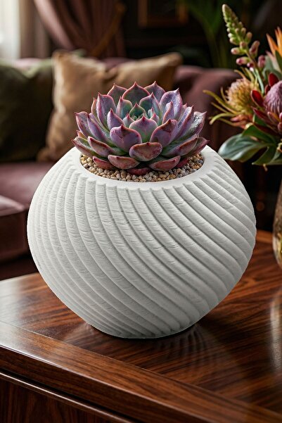 Evene Mini Çiçek Saksı Küçük Sukulent Beyaz Kaktüs Saksısı Model 1