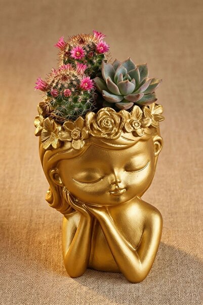 Evene Saksı Dekoratif Saksı Kaktüs Saksısı Sukulent Saksısı Küçük Saksı Model...