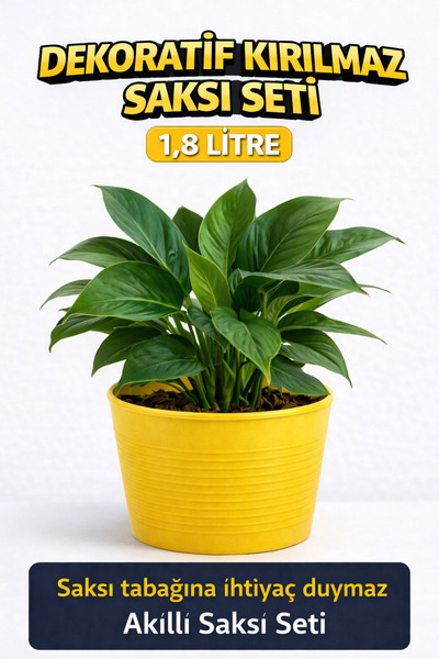 plant-home 2’li Saksı Seti – 15 Pot Üretim Saksısı + 1,8 Litre Sarı Dekoratif...