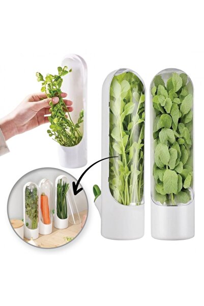ECARLA Container for storing fresh herbs, mint, vegetables for the refrigerat...