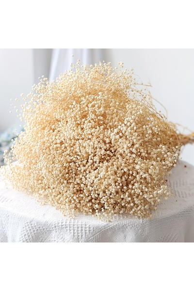 Dekora Çiçek Şoklanmış Cipso 1.kalite Naturel, Hediyelik