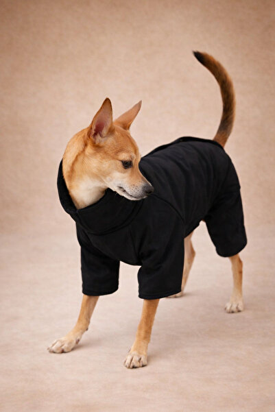 Coverall Siyah - Astarlı Köpek Tulum Yağmurluk
