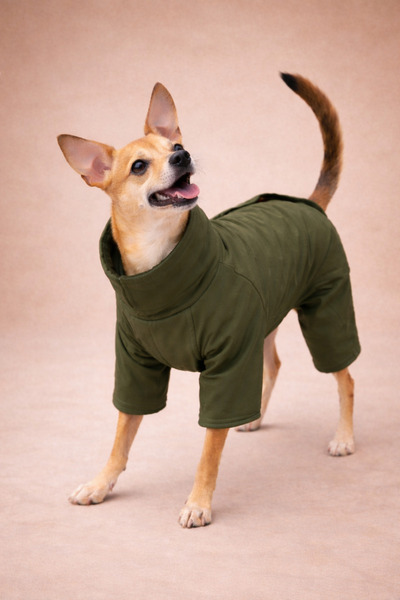 Alphadog Design Coverall Siyah - Astarlı Köpek Tulum Yağmurluk