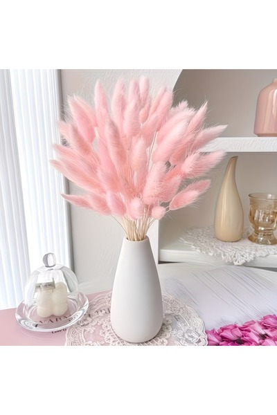 Dekora Çiçek باقة زهور جيلرُوس المجففة من عشب القطن بذيل الأرنب، لون وردي فات...