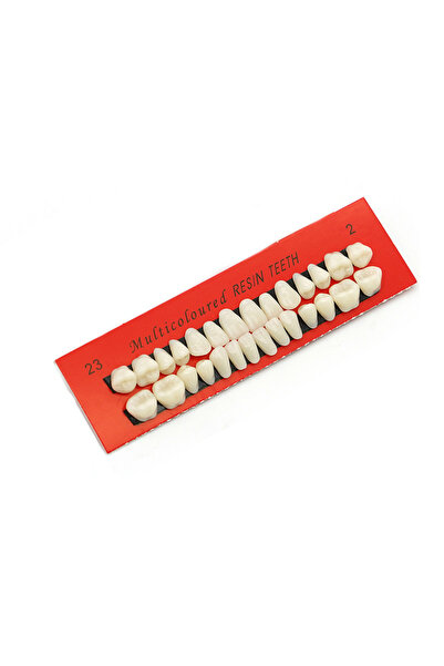 Choice 02 28 قطعة نموذج تدريب أسنان دائم، نموذج أسنان من الراتنج، أدوات تعليم...