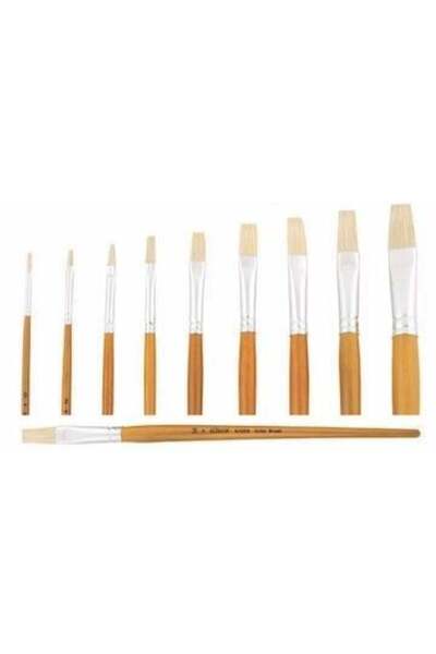 Erka فرشاة طلاء زيتية من سودور (258 12) عبوة من 12 قطعة