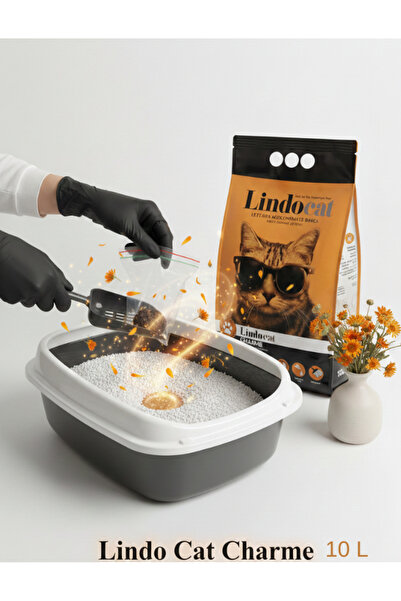Lindo Cat Lindocat Charme Amber Kokulu Kedi Kumu TR-1 Adet-10 Lt-Topaklaşan-D...