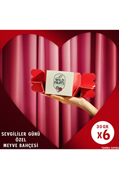 WildFruits Premium Quality Sevgililer Günü Özel Kuru Meyve Tadım Seti – 6 Çeş...