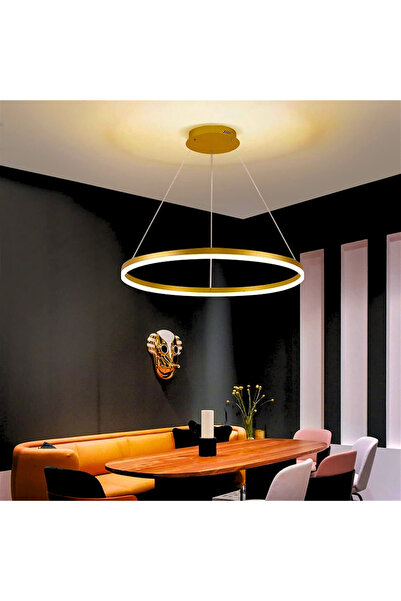 LightPlanet Lustra LED WONDERLAND Gold 1 Segment Echivalent 300W