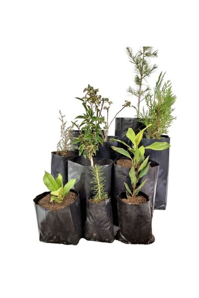 urgancıoğlu Fidan Poşeti 30x35 Fide Torbası 1 Kg