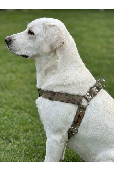 balkonda طوق صدر للكلاب قابل للتعديل للسلالات المتوسطة والكبيرة بعرض 3 سم وحب...