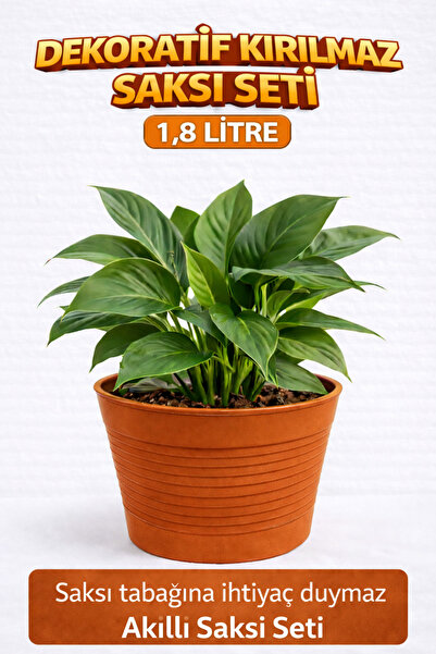 plant-home Akıllı 2’li Saksı Seti – Terracota Dekoratif Saksı + Şeffaf Üretim...