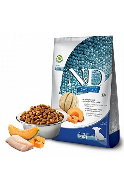 N&D Ocean Morina Balıklı Balkabaklı Kavunlu Küçük Irk Tahılsız Yavru Köpek Ma...