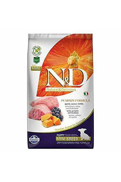 N&D Pumpkin Balkabaklı Kuzu Etli ve Yaban Mersinli Küçük Irk Tahılsız Yavru K...