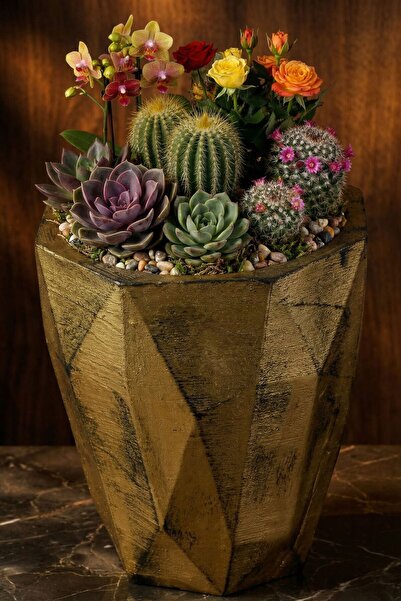 Evene Saksı Büyük Saksı Çiçek Saksısı Büyük Boy Saksı Salon Saksısı Model 9 A...