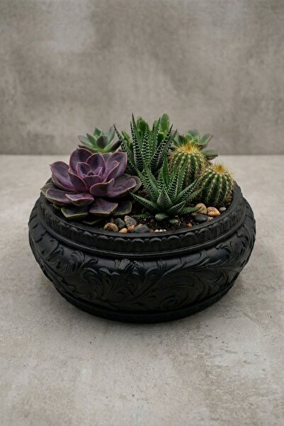 Evene Saksı Büyük Saksı Çiçek Saksısı Büyük Boy Saksı Salon Saksısı Model 5 S...