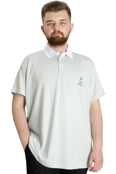 ModeXL Mode XL Large Size Men's T-Shirt Polo Neck Striped Kagi 23340 Green