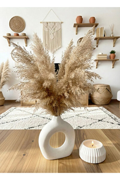 Nova Deco مجموعة من 2 مزهرية على الطراز الاسكندنافي البوهيمي مقاس 10 سم هدية ...