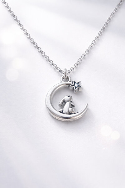 VerdeHome Gümüş Renk – Yonca, Sonsuz Kalp, Kalp, Kelebek ve Tavşan Tasarımlı ...