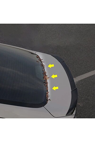 Choice شريط مانع لتسرب الماء والغبار لصندوق السيارة الخلفي، يمنع تسرب الأوراق...