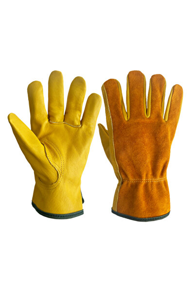 Choice قفازات تخييم صفراء مقاس L، قفازات عازلة للحرارة، مقاومة للتآكل والطعن،...