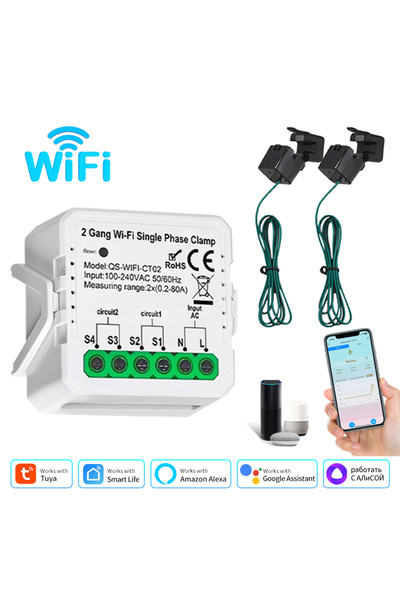 GGBEE 2 Gang Tuya WiFi Smart Energy Meter AC100-240V 1CT 2CT Clamp App Contro...