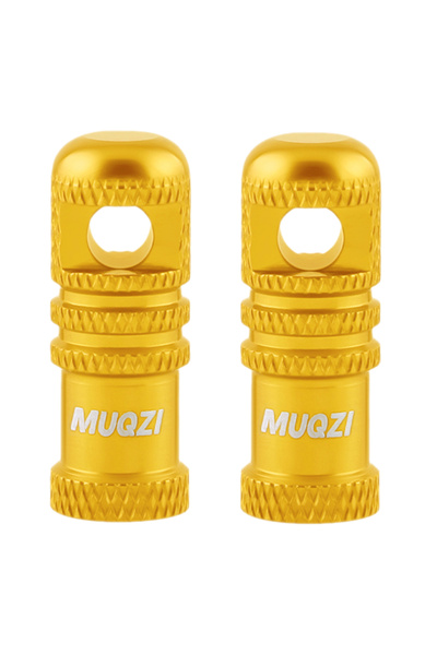 Choice غطاءان لصمامات بريستا للدراجات الهوائية من جولد (قطعتان) مع غطاء مقاوم...