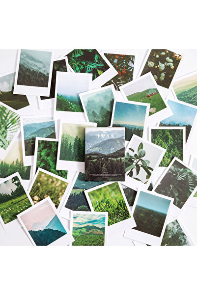 Choice3 4 30 Sheets of Gorgeous Scenic Stickers, with Various Natural Scenes,...