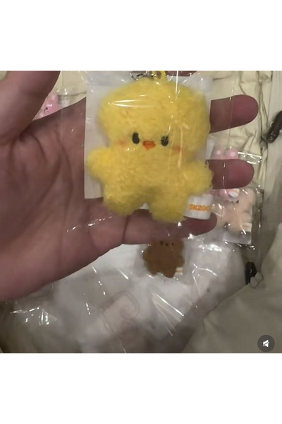 Choice AT8 Staykids SKZ Mini Keychain Pendant New SKzoo FM Field Week 5cm Plu...