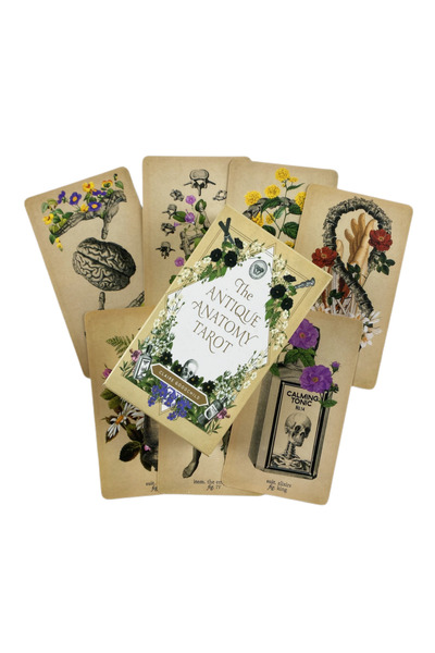 Choice 118 مجموعة أوراق التارو للتشريح العتيق، أوراكل إنجليزي كامل، عرافة، مص...