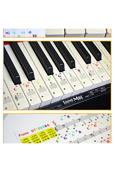 Choice one size Keyboard notes Sticker 88/61/54/49/37 keys Piano Sticker Tran...