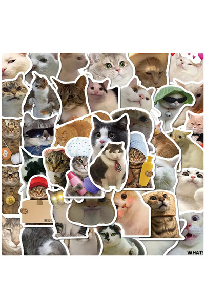 choice2 50 قطعة، 10/30/50 قطعة، ملصقات حيوانات لطيفة، ملصقات قطط مضحكة، ملصقا...