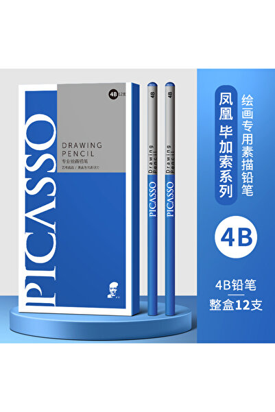 Choice 12 قلم رصاص احترافي للرسم من فينيكس بيكاسو، مقاس 4B، مناسب لطلاب الفنو...