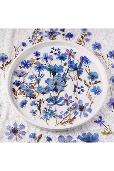 Choice A 50Pcs Transparent Pressed Flower Stickers for Scrapbooking PET Natur...