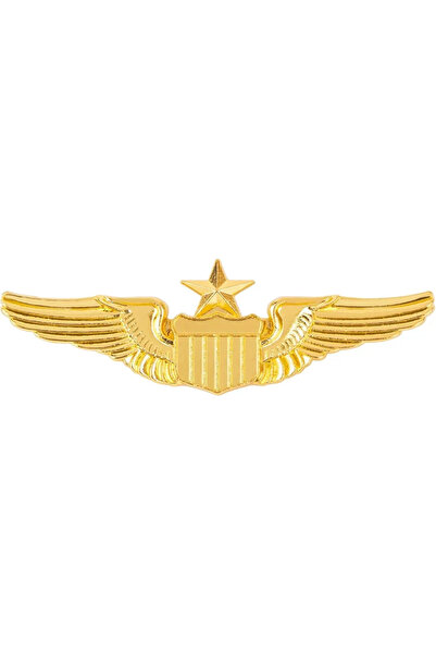 Choice دبوس ذهبي واحد على شكل ميدالية نسر بأجنحة مفرودة، دبوس حقيبة ظهر، دبوس...