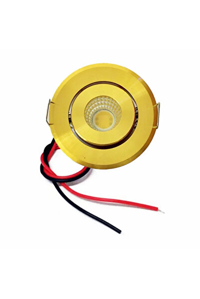 Choice مصباح سقف صغير بتقنية COB LED، لون أبيض دافئ 3000 كلفن، هيكل ذهبي، 12 ...